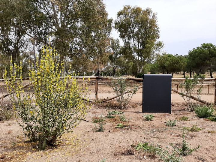 Afvalbak Band - Afvalbak - GroundLevel straatmeubilair - Euroform - W