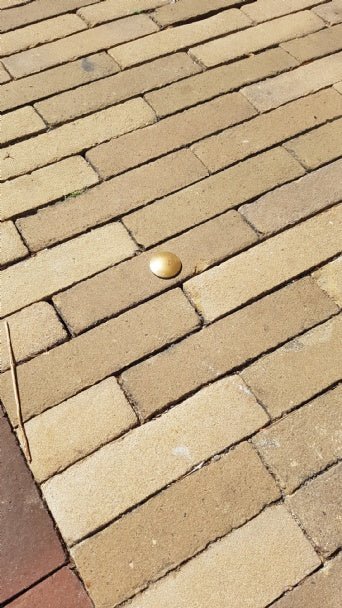 Markeernagel GL klein brons - Wegdeknagels & markeernagels - GroundLevel straatmeubilair - GroundLevel