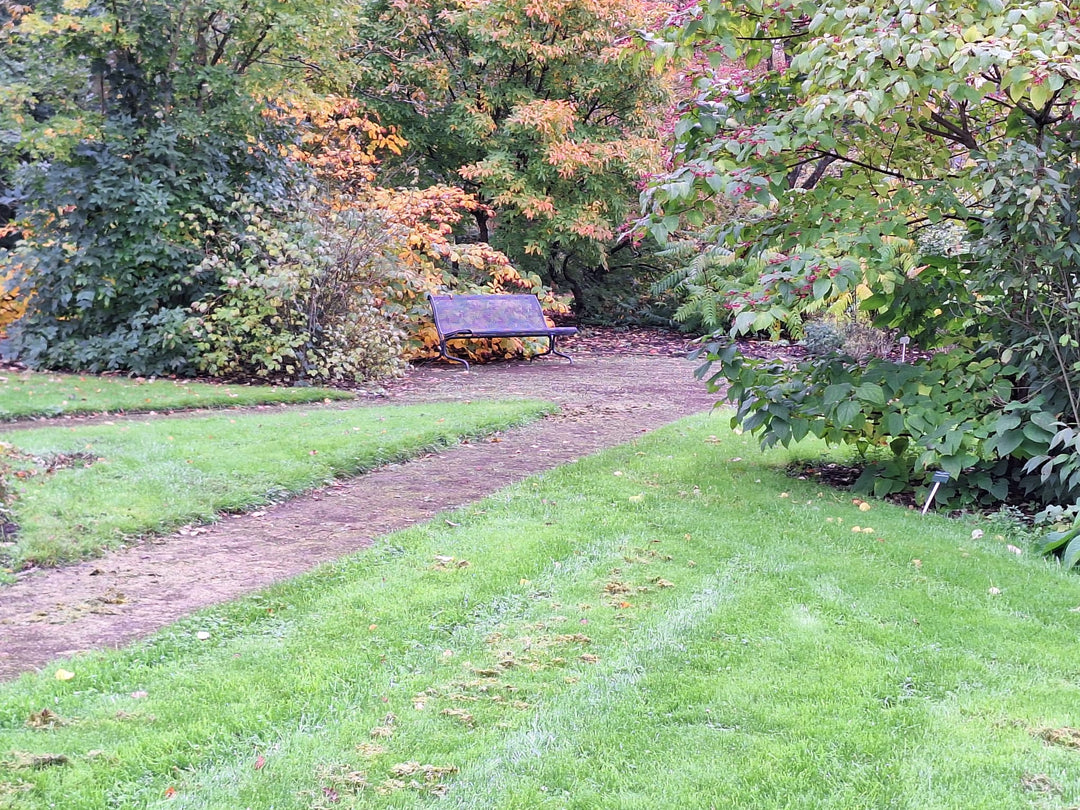 Duurzaam straatmeubilair bij Botanische Tuinen Universiteit Utrecht - GroundLevel straatmeubilair