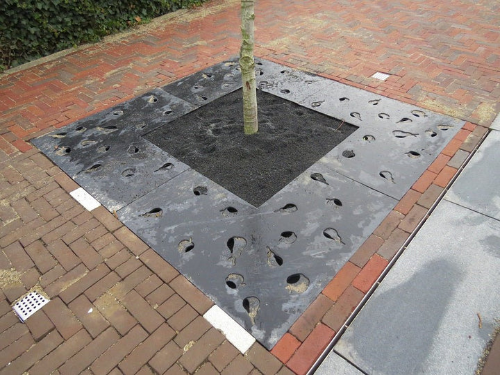 Boomrooster gietijzer Custom Made - Boomrooster - GroundLevel straatmeubilair - GroundLevel