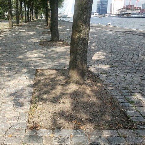 Boomspiegelplint rechthoekig - Boomspiegel - GroundLevel straatmeubilair - GroundLevel