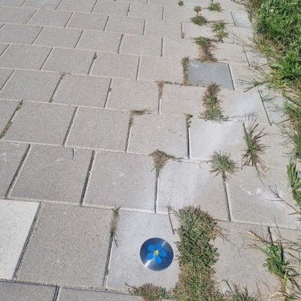 Route - hulp mensen met dementie - Wegdeknagels & markeernagels - GroundLevel straatmeubilair - GroundLevel
